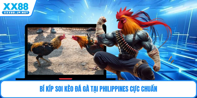 Đá Gà Philipines – Sân Chơi Cựa Dao Đỉnh Cao Kịch Tính
