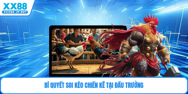 Gà Cựa Thomo - Những Bí Mật Đặt Cược Đỉnh Cao 2026
