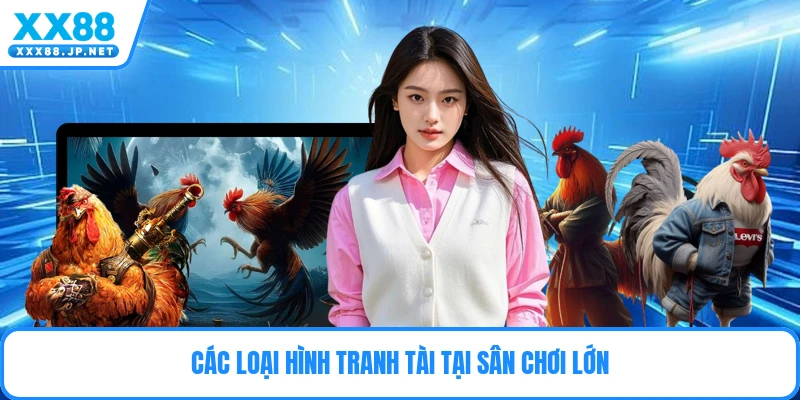 Gà Cựa Thomo - Những Bí Mật Đặt Cược Đỉnh Cao 2026