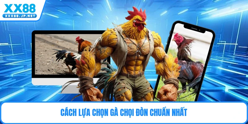 Đá Gà Đòn - Nghệ Thuật Và Chiến Thuật Chọi Gà Đỉnh Cao