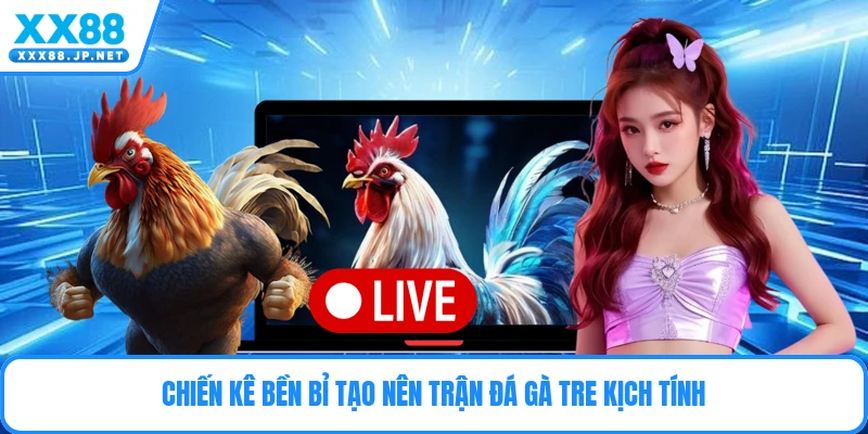 Đá Gà Tre - Kinh Nghiệm Soi Kèo Thắng Lớn Từ Cao Thủ