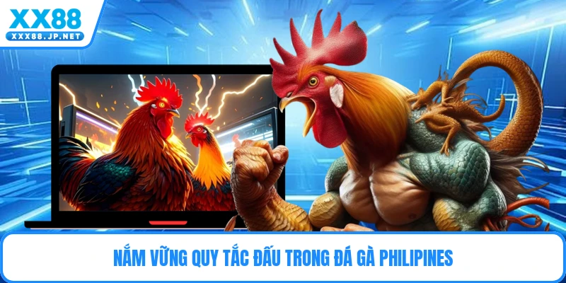 Đá Gà Philipines – Sân Chơi Cựa Dao Đỉnh Cao Kịch Tính