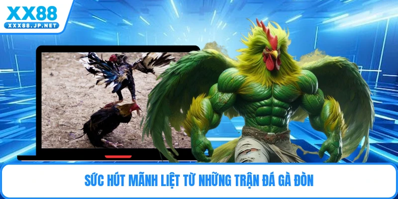Đá Gà Đòn - Nghệ Thuật Và Chiến Thuật Chọi Gà Đỉnh Cao