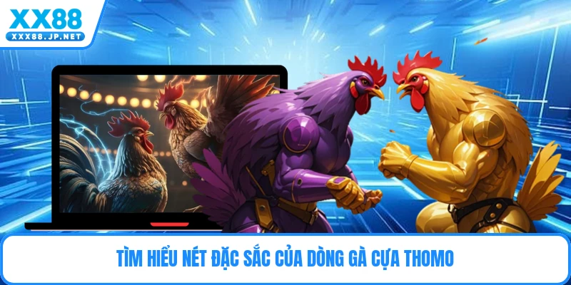 Gà Cựa Thomo - Những Bí Mật Đặt Cược Đỉnh Cao 2026