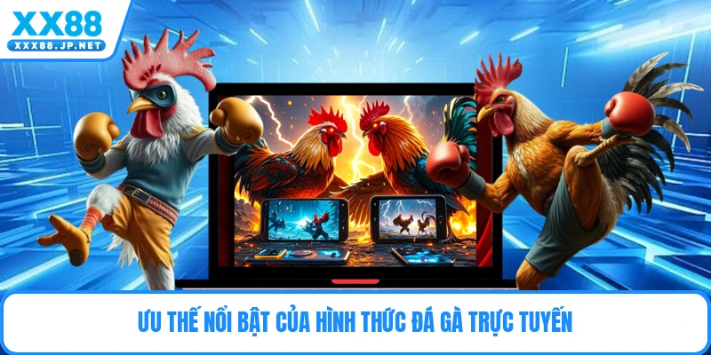 Đá Gà Philipines – Sân Chơi Cựa Dao Đỉnh Cao Kịch Tính